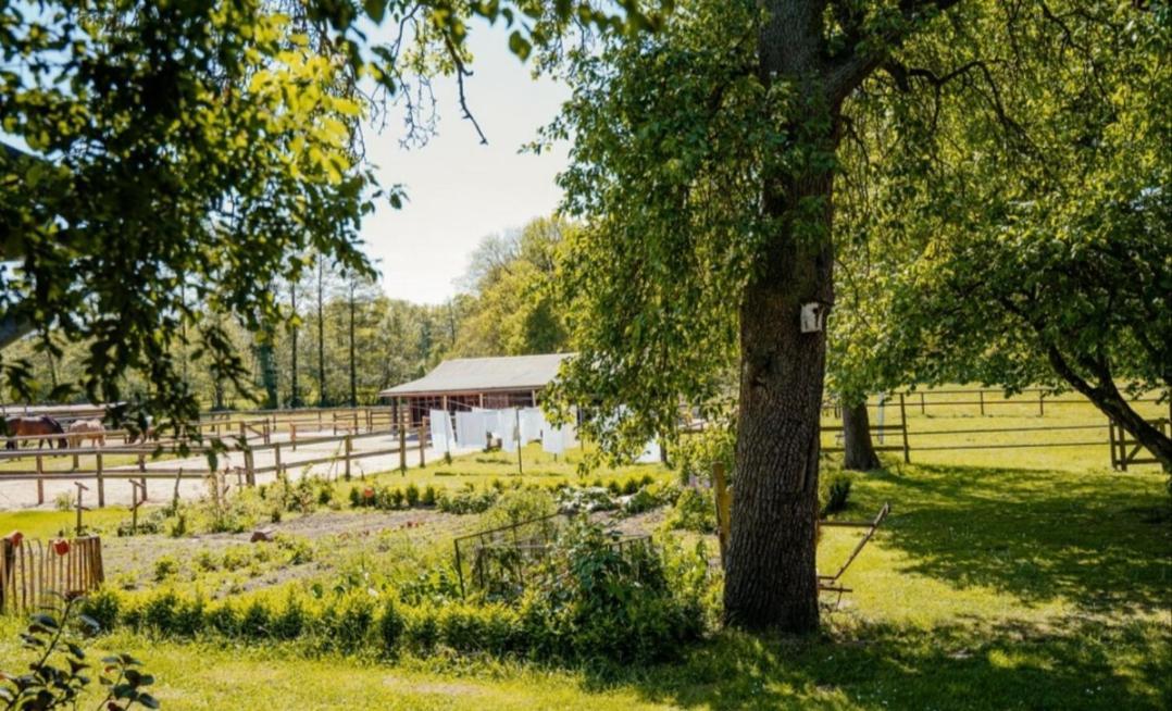 Ferienhof Trapp Guest House Ellringen Exterior photo